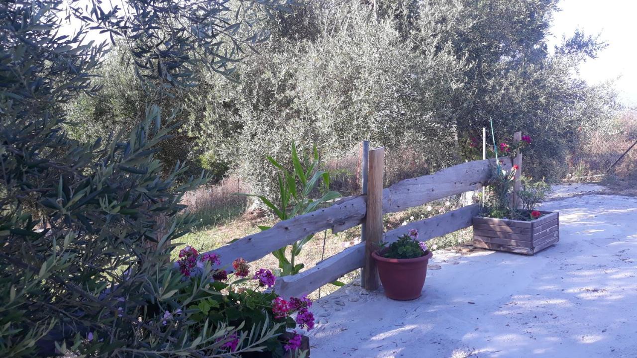 Villa Cleopatra Marathias (Corfu)